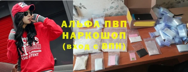 СК Алзамай