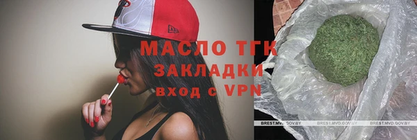 мет Алексин